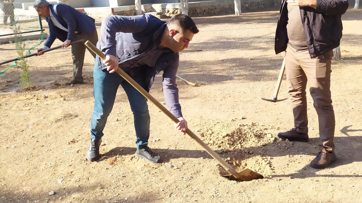 Okul Bahçesine Fidan Dikimi Yapıldı